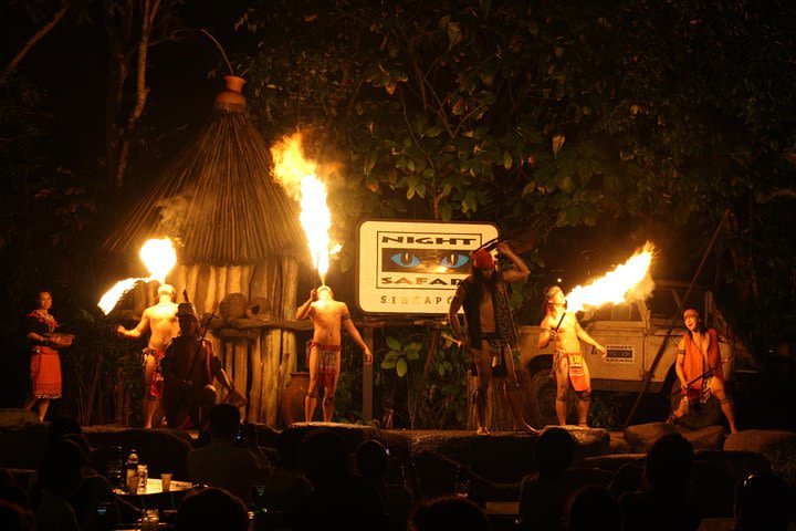 Singapore Night Safari Tram Ride (Shared Transfer) image