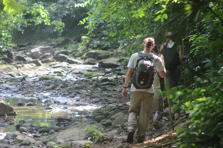 The Jaguar´s Footprint: Hike and Music Day Trip from Cartagena image