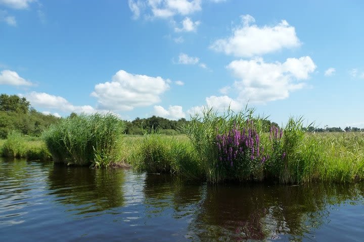 Fresh nose tour with the canoe through the nature near Amsterdam (coronaspecial) image