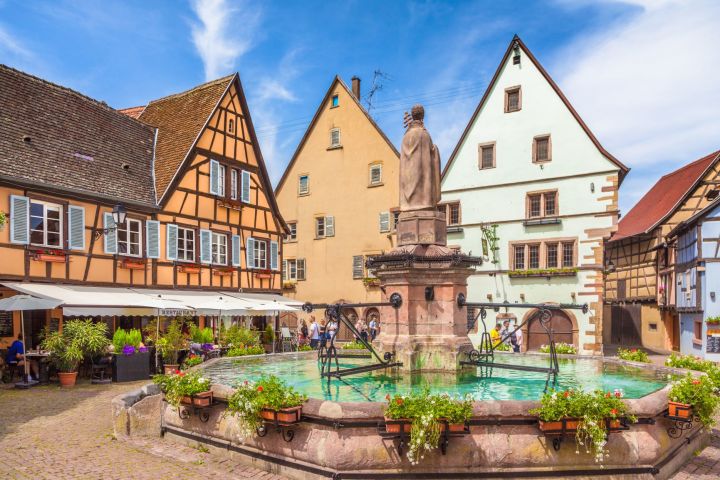 Highlights of Alsace From Riquewihr (private) image