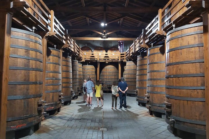 Etna Wineries Tour - Small Groups from Taormina  image