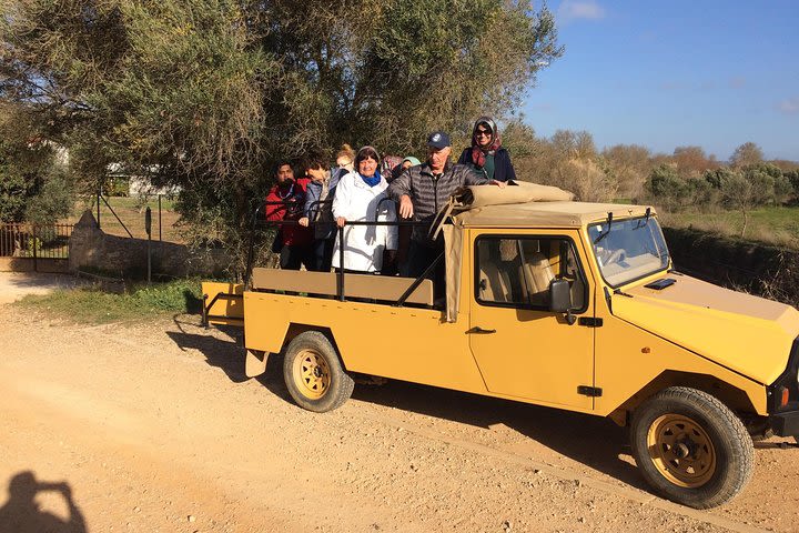 Algarve Jeep Safari - Day Trip with Lunch Included image