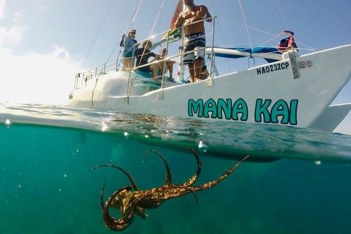 Waikiki Turtle Snorkel Adventure with Manakai Catamaran image