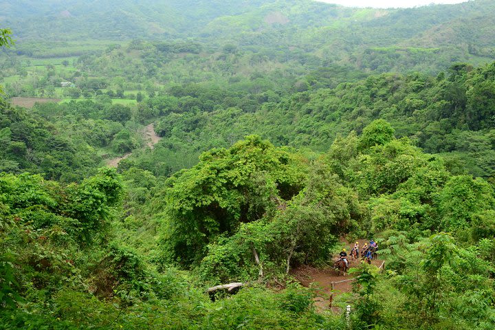 Horseback and Waterfalls Adventure in Jaco with Pick Up image