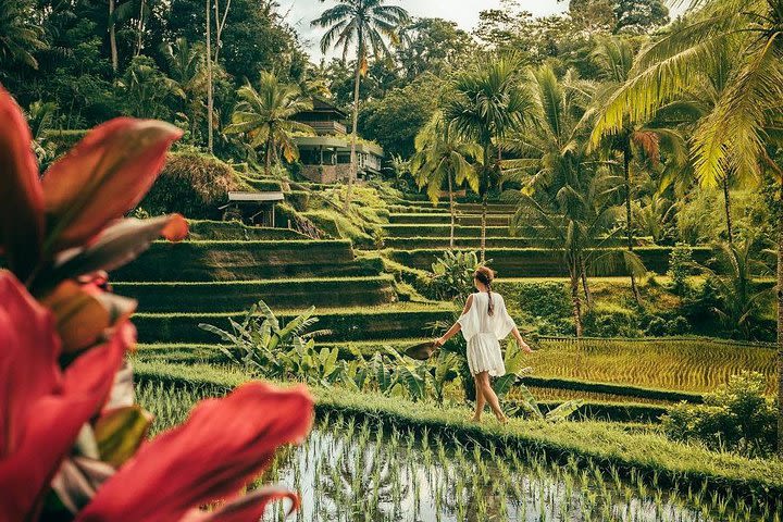 Bali Best Sights • INCLUDE TICKETS image