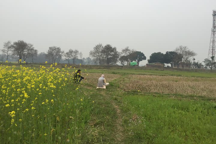 Full Day Lumbini Tour  image