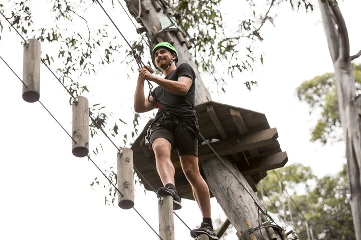 Curcuit Rope Super Circuit Ropes Course Adventure in Lorne-Live Wire Park
