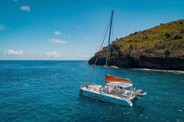 catamaran cruise to ilot gabriel