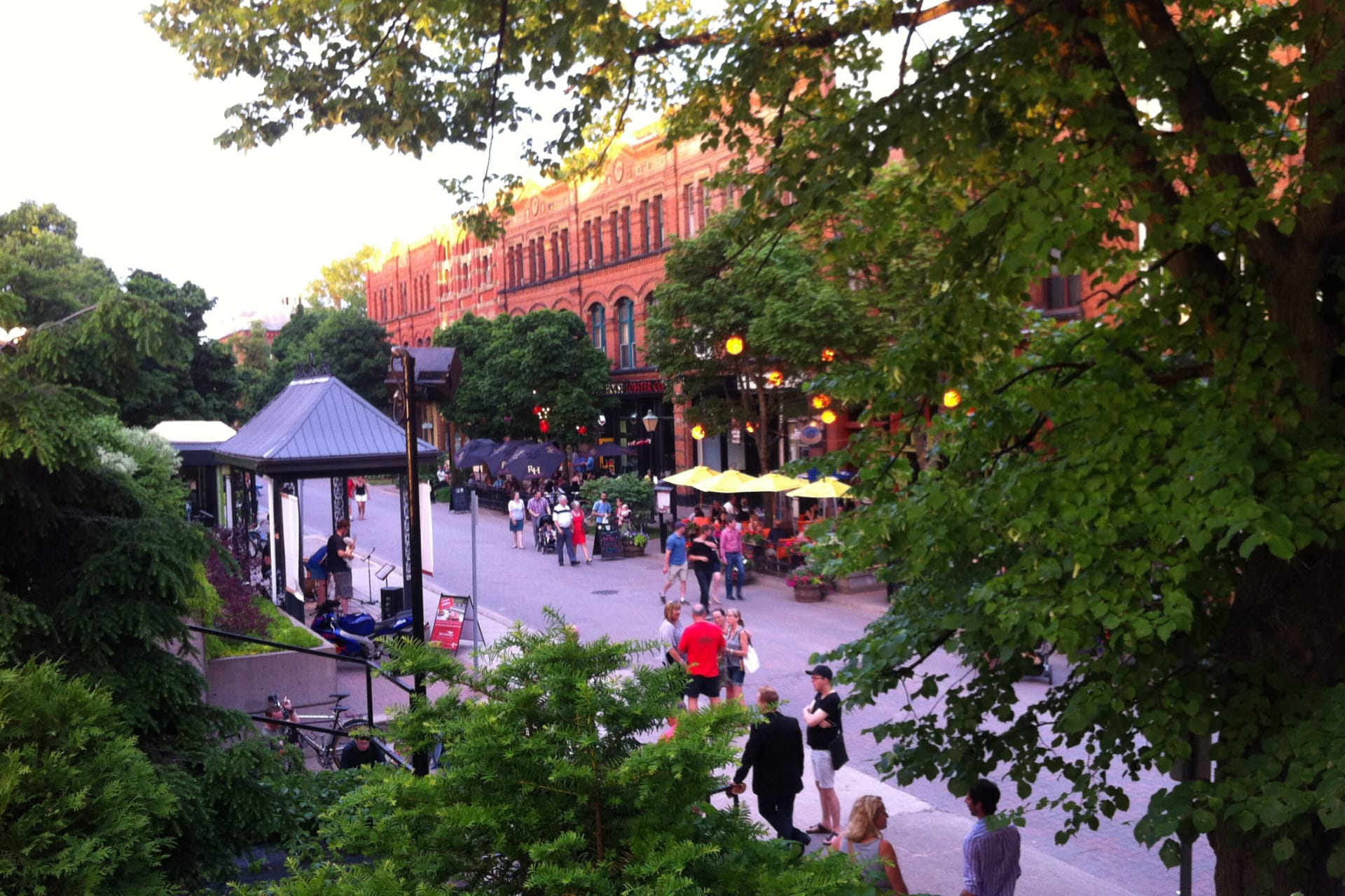 see sight tours charlottetown