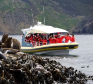 Pennicott Wilderness Journeys logo