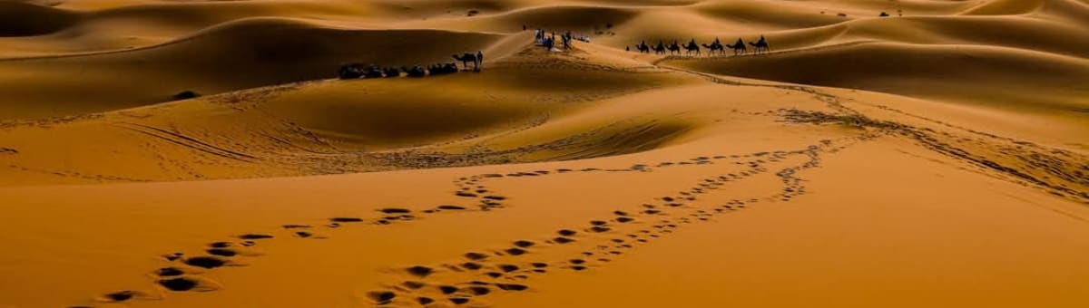 Morocco camel trekking cover