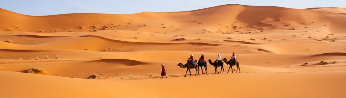 desert explored cover
