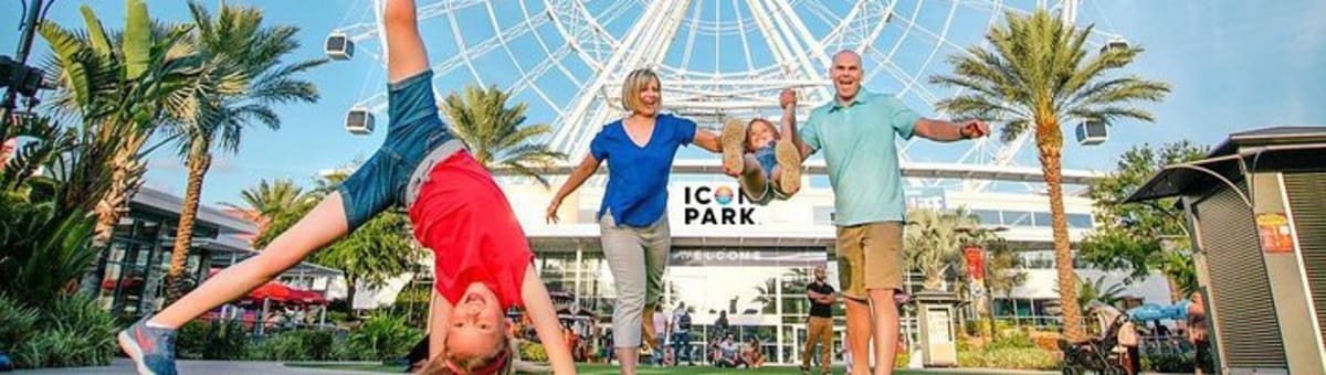 The Wheel at ICON Park cover