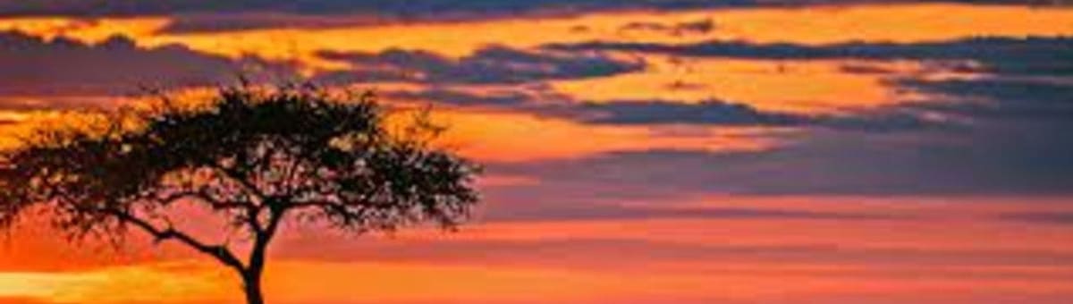 Lisam tours kenya  cover