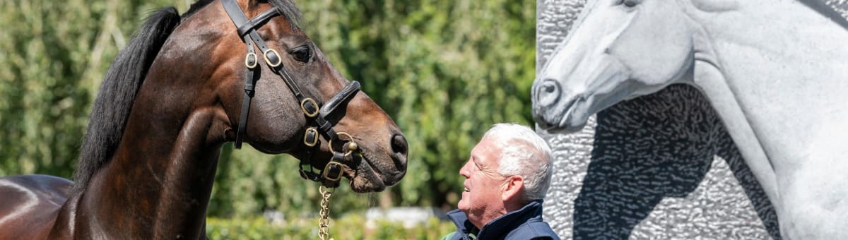 Irish National Stud & Gardens cover