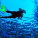 African trips hurghada