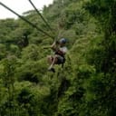 South Shore Zipline Tours