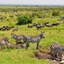 SamLiz Travel Kenya