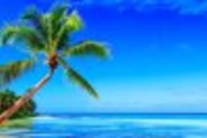 Samana Platinum 3