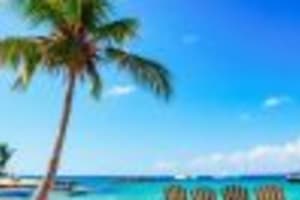 Santo Domingo: Saona Island Catamaran Tour with Lunch & Bar 3