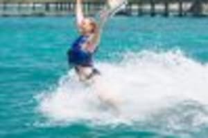 Punta Cana: Nuoto e Interazioni con i Delfini Explorer 3