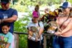 Punta Cana: Safari de Medio Día en Monkey Land y Plantación 4