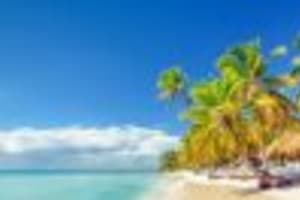 Punta Cana: Macao Beach Buggy Tour with Horseback Riding 3
