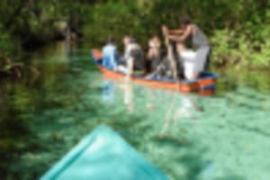 Punta Cana: Cayo Levantado & Bacardi Island Trip with Lunch 3