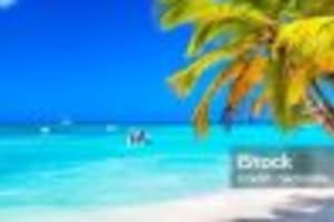 Punta Cana: Saona Island Cruise with Lunch & Open Bar 3