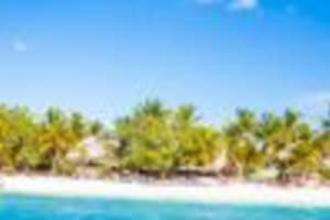 Punta Cana: Full-Day Snorkeling Tour to Catalina Island 3