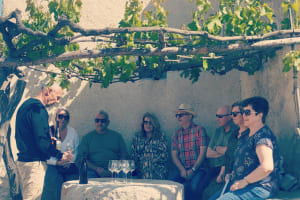 2 Wineries Small Group Tour with Hotel Pick-up from Sitges 3