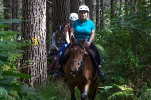 Scenic Forest and Hillside Adventure Tour 3