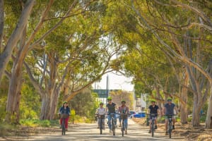 Adelaide Electric Bike City Tour 4