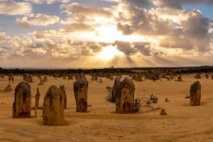 Pinnacles Sunset Half-Day Tour Perth 4