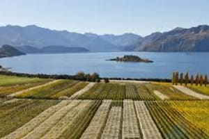 Queenstown Wine Tasting with Local Artisans 4