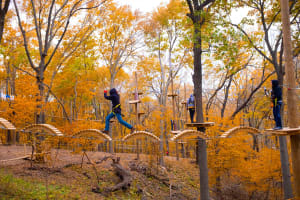 TreeRush Adventures Park near Omaha 4