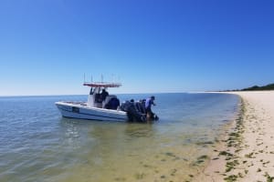 Everglades National Park Florida Bay Eco Adventure Tour 4