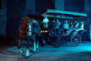 Haunted Evening Horse and Carriage Tour of Charleston 4