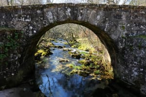 Tour e Retiro Premium Gerês 3