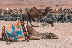 Best 5 days tours from marrakech to merzouga 4