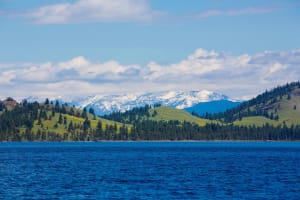 Stand Up Paddle Board To Wild Horse Island 4