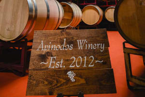 Avinodos Napa Valley Current Release Tasting and Winery Tour 4