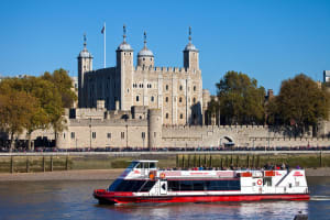 London Eye River Cruise Ticket with Guide 3