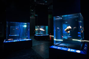 Singapore Oceanarium Admission Ticket 3