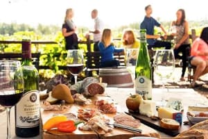 V. Sattui Premier Indoor Tasting Experience 3