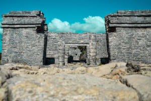  Private Swim with Turtles, Visit Tulum Ruins and Cenotes  3