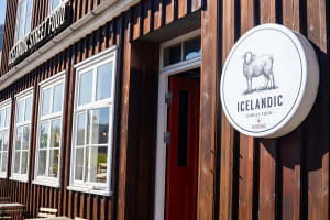 Private Reykjavik Harbor Food Tour 4