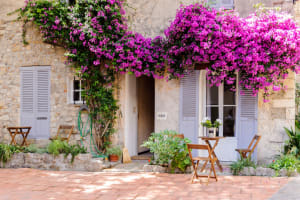 Traditional stone house in Antibes decorated with colourful bougainvillea and outdoor café tables.