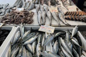 Secret Food Tours Athens 4
