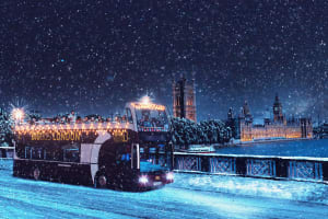 London: Christmas Lights Panoramic Tour Night Tour 4